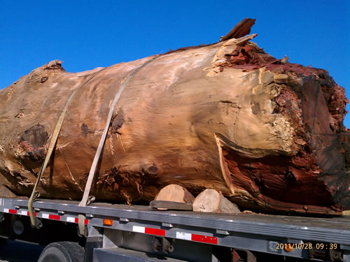 A single large redwood salvage log on the back of a truck.